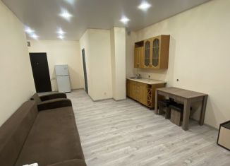 Сдам в аренду квартиру студию, 27 м2, Бурятия, 105-й микрорайон, 46