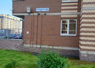 Продаю квартиру студию, 26.3 м2, городской посёлок Янино-1, Голландская улица, 8