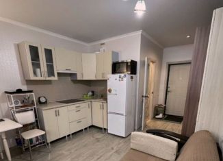 Продам квартиру студию, 30.1 м2, Москва, 3-я Парковая улица, 14А, ВАО