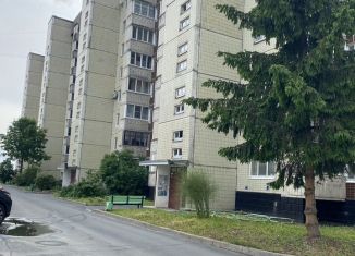 1-комнатная квартира на продажу, 43.5 м2, Кириши, улица Строителей, 40