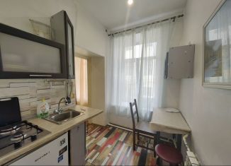 Сдается в аренду 1-комнатная квартира, 30 м2, Санкт-Петербург, улица Союза Печатников, 27, Адмиралтейский район