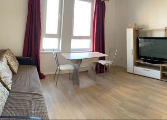 Квартира в аренду студия, 27 м2, Новороссийск, улица Мурата Ахеджака, 3