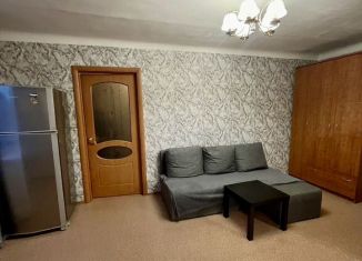Сдам в аренду 2-ком. квартиру, 44 м2, Новосибирск, Ленинский район, Выставочная улица, 6
