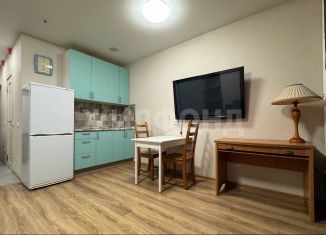 Сдача в аренду квартиры студии, 26 м2, Новосибирская область, Железнодорожная улица, 15/1