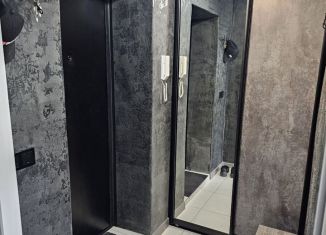 Сдается в аренду однокомнатная квартира, 30 м2, Выкса, улица Островского, 71