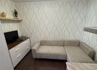 Сдача в аренду 1-ком. квартиры, 40 м2, Новосибирск, микрорайон Горский, 74, метро Площадь Маркса