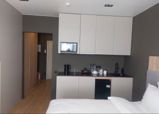 Продажа квартиры студии, 24.2 м2, Санкт-Петербург, Таллинская улица, 11с2, метро Ладожская