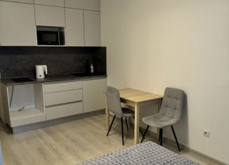 Сдается в аренду квартира студия, 25 м2, Санкт-Петербург, улица Генерала Кравченко, Красносельский район
