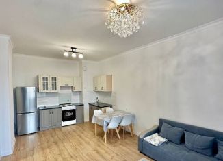 Сдаю в аренду 2-комнатную квартиру, 52.8 м2, Санкт-Петербург, Мартыновская улица, 14к1, муниципальный округ Юнтолово