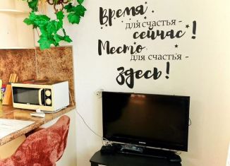 Аренда квартиры студии, 24 м2, Краснодар, улица Западный Обход, 42к6, Прикубанский округ