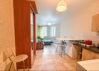 Продажа квартиры студии, 23 м2, деревня Бородино, Варшавское шоссе, 79, ЖК Европа