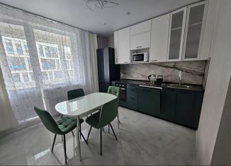 Сдается в аренду 1-ком. квартира, 39 м2, Мурино, проспект Авиаторов Балтики, 25