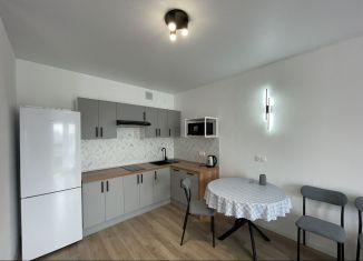 Сдам 1-ком. квартиру, 40 м2, деревня Новое Девяткино, Главная улица, 10, ЖК Заречный Парк