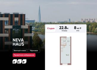 Продам квартиру студию, 22.8 м2, Санкт-Петербург, Петроградский район, Петровский проспект, 9к2