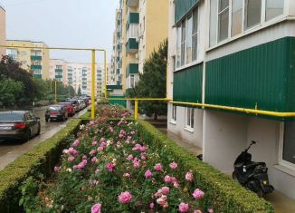 Продажа однокомнатной квартиры, 34 м2, посёлок городского типа Яблоновский, Солнечная улица, 55/1к1