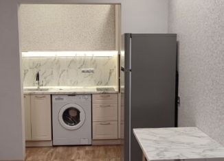 Сдам в аренду однокомнатную квартиру, 38 м2, Новосибирская область, улица Николая Сотникова, 14