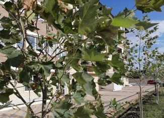 Продам 1-ком. квартиру, 39 м2, поселок Южный, Казачья улица, 6к1