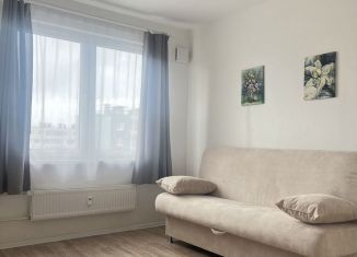1-комнатная квартира на продажу, 30.8 м2, Санкт-Петербург, Пискарёвский проспект, 145к6, метро Академическая