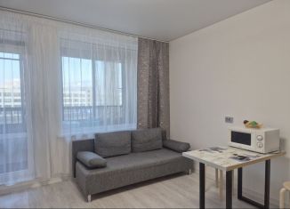 Сдается квартира студия, 25 м2, Санкт-Петербург, проспект Ветеранов, 210, Красносельский район