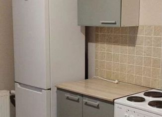 Сдается в аренду однокомнатная квартира, 30 м2, Ростов-на-Дону, Художественная улица, 22/17, ЖК Платовский