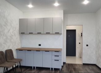 Продаю квартиру студию, 22.6 м2, Санкт-Петербург, улица Вадима Шефнера, 4, Василеостровский район