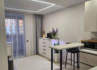 Сдаю в аренду квартиру студию, 30 м2, Реутов, Носовихинское шоссе, 43