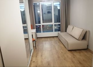 Аренда квартиры студии, 24 м2, посёлок Парголово, Толубеевский проезд, 8к2