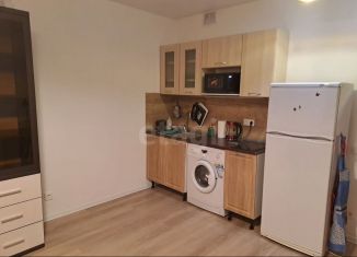 Сдаю квартиру студию, 27 м2, деревня Новое Девяткино, Главная улица, 10