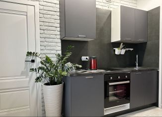 Квартира в аренду студия, 28 м2, Москва, Дмитровское шоссе, метро Селигерская