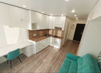 Продаю квартиру студию, 21.6 м2, Бор, улица 3-й Микрорайон, 5