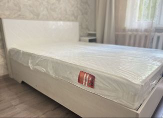 Сдача в аренду двухкомнатной квартиры, 50 м2, Калининград, Можайская улица, 52