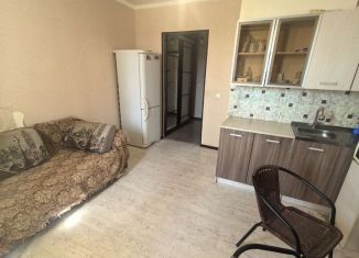 Сдается в аренду квартира студия, 28 м2, Тобольск, 15-й микрорайон, 22