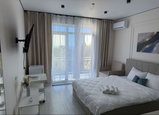 Квартира на продажу студия, 28 м2, Сочи, улица Ленина, 280