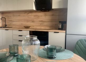 Сдается в аренду 1-ком. квартира, 40 м2, Москва, Варшавское шоссе, 170Ек9