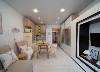 Продажа квартиры студии, 25 м2, Мурино, Охтинская аллея, 10к1, ЖК Девятый вал