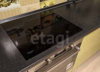 2-комнатная квартира на продажу, 50.6 м2, Санкт-Петербург, Парашютная улица, 44к2, метро Комендантский проспект