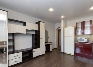 Продаю квартиру студию, 27.1 м2, Благовещенск, Заводская улица, 2/2