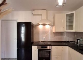 Квартира в аренду студия, 24.6 м2, Мурино, улица Шоссе в Лаврики, 51