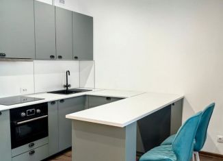Аренда квартиры студии, 27 м2, Санкт-Петербург, Верхне-Каменская улица, 3к1, Приморский район