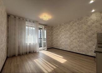 Сдача в аренду квартиры студии, 25 м2, Мурино, Ручьёвский проспект