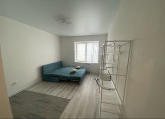 Сдам в аренду квартиру студию, 21.7 м2, деревня Новое Девяткино, Главная улица, 2