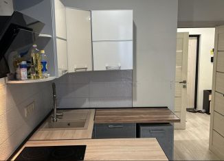 1-ком. квартира на продажу, 39.5 м2, Краснодар, Красная улица, 176, микрорайон Центральный