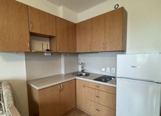 Продажа квартиры студии, 24 м2, Санкт-Петербург, Красносельский район, проспект Ветеранов, 169к2