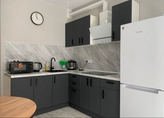 Сдается 1-ком. квартира, 42.1 м2, Санкт-Петербург, Коломяжский проспект, 13к2, Приморский район