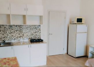 Сдаю квартиру студию, 25.8 м2, Мурино, улица Шоссе в Лаврики, 78к1