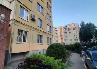 Трехкомнатная квартира в аренду, 70 м2, Нижний Новгород, проспект Ленина, 30В