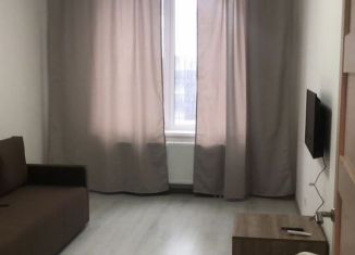 Сдается 1-комнатная квартира, 35 м2, Санкт-Петербург, Верхне-Каменская улица, 9к1, Приморский район