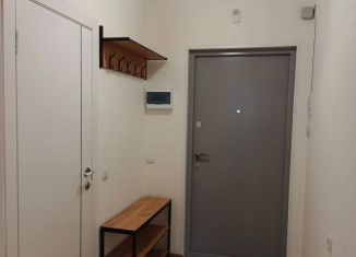 Сдам в аренду квартиру студию, 24.1 м2, Мурино, Графская улица, 6к4