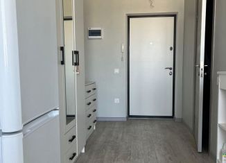 Аренда квартиры студии, 25 м2, Новороссийск, улица Хворостянского, 21
