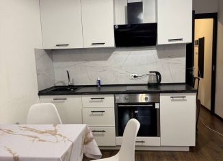 Сдаю в аренду квартиру студию, 25.6 м2, Санкт-Петербург, проспект Ветеранов, 175к4, Красносельский район
